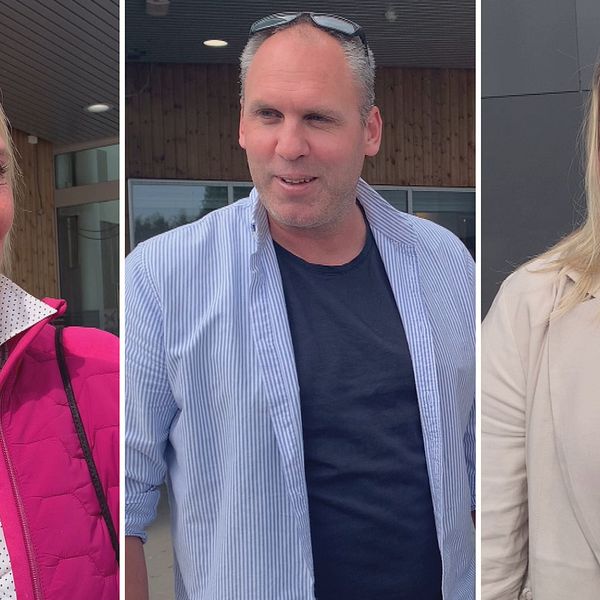 Bilden är ett montage. Till vänster syns en kvinna som har blont hår, rosa jacka och en prickig skjorta. I mitten står en man som har en blårandig skjorta och en mörk tröja under, han har solglasögon på huvudet. Till höger syns en tjej som har en beige kavaj, vit t-shirt och blont hår.