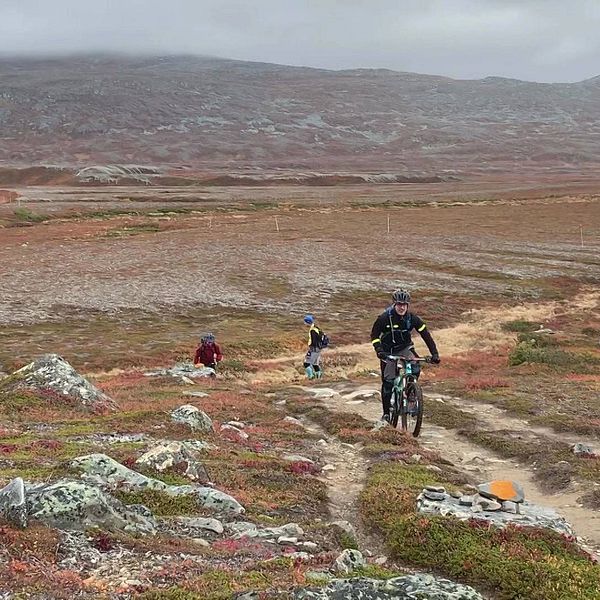 Cyklister på ett kalfjäll.