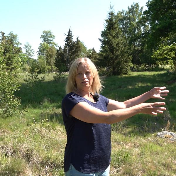 Kristina Händevik söker djur till sina betesmarker utanför Kalmar, men det är inte helt lätt.