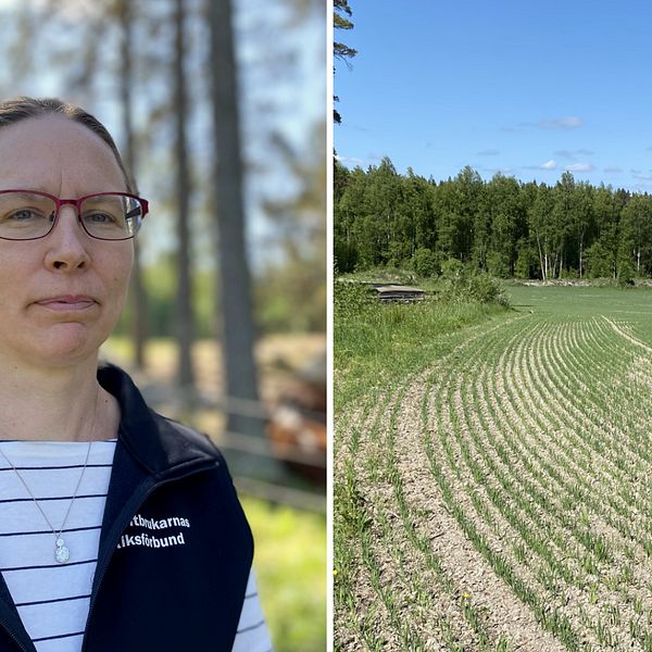 Maria Mehlqvist från LRF i Örebro, nationell krissamordnare och bild på vårsådd på torr jordbruksmark.