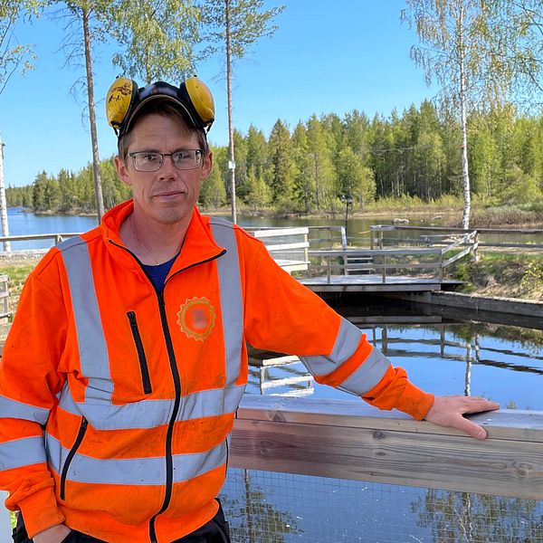 Fiskodlaren Christian Nilsson står iklädd orangea arbetskläder framför en avgränsad del av en sjö. Hör honom berätta om myggfodret och vart han får alla insekter i från: ”Fiskarna älskar det”.