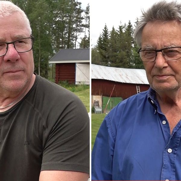 Två män i glasögon, Mats Olsson och Janne Kallin, blir intervjuade av SVT i Vemhån.