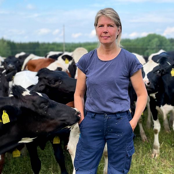 Mjölkbonden Kristin Södergren står i en hage med sina kvigor