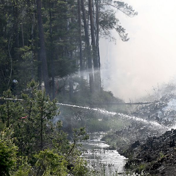 Två brandmän står med varsin vattenslang vid ett skogsbryn och släcker en markbrand