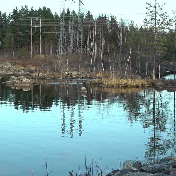 Bilden är en arkivbild. Det syns vatten blandat med skog i bilden. Bilden är tagen på platsen där händelsen med pojkarna utspelade sig.