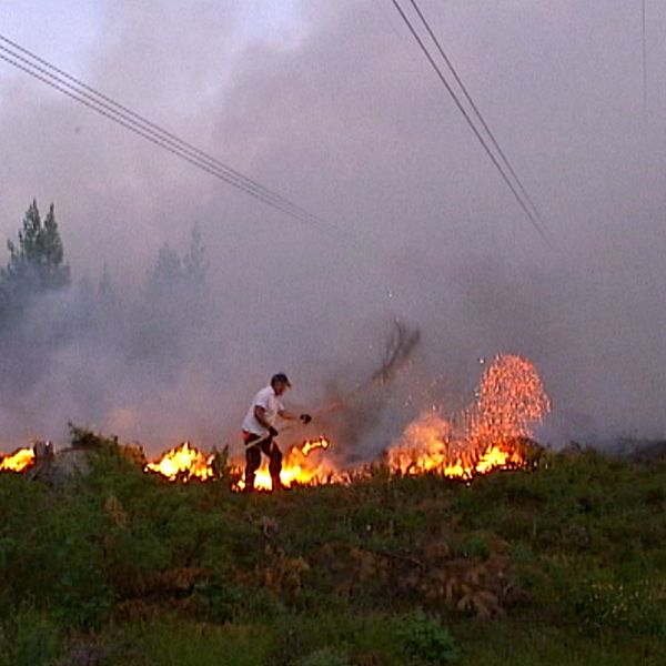 ”Det är tufft man vet inte var det slutar” Rolf Sundell, markägaren som med en gren försökte mota elden på sina marker i Gävleborgs län under skogsbränderna 2018.