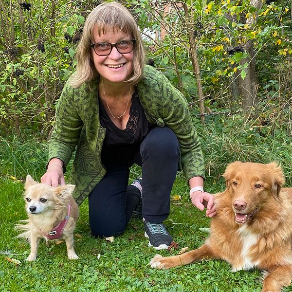 Forskaren Lena Lidfors sitter på huk på gräset, hon sitter mellan två hundar.