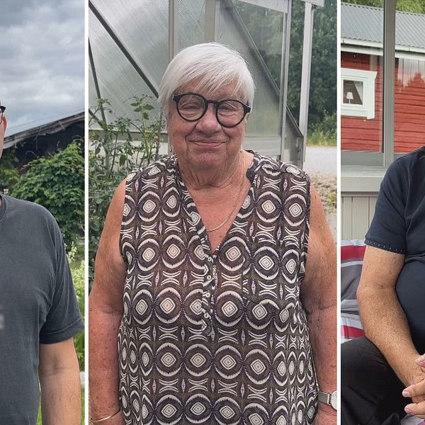 Bilden är ett montage. Till vänster står Rikard Lagerberg, han står utomhus och har en mörk tröja och glasögon på sig. I mitten står Britta Larsson, hon har glasögon och en mönstrad klänning på sig. Längst till höger sitter Holger Pettersson, han har en mörk tröja och glasögon på sig.