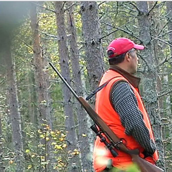 jägare i röd keps och signalväst med ett gevär över axeln