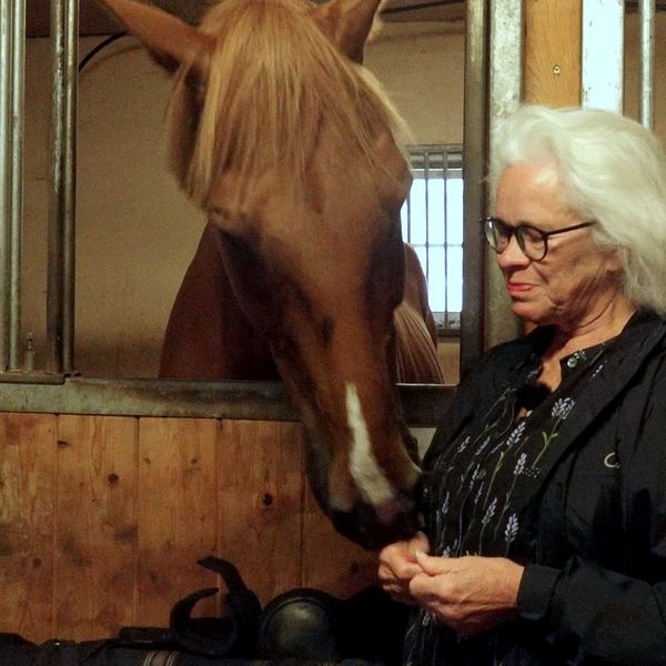 Cecilia Kjellgren sölvesborgs ridklubb med en häst