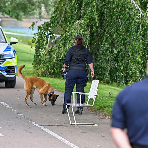 I förgrunden: En polis med händerna bakom ryggen kollar bort mot en kollega. I bakgrunden: En polis och en polishund bredvid en polisbil.