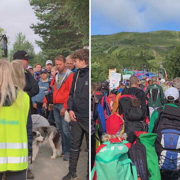 Många orienterare vandrar mot Trillevallens backar efter att ha åkt buss till startplatsen.