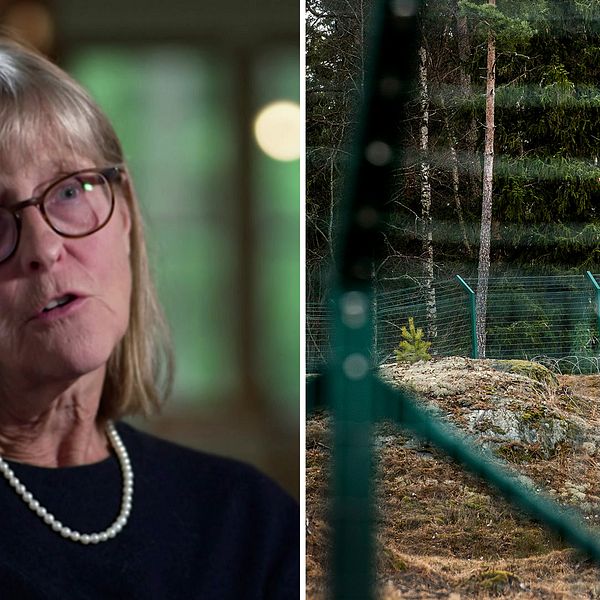 Utredaren Agneta Bäcklund, bredvid en bild på en inhängnad gård.