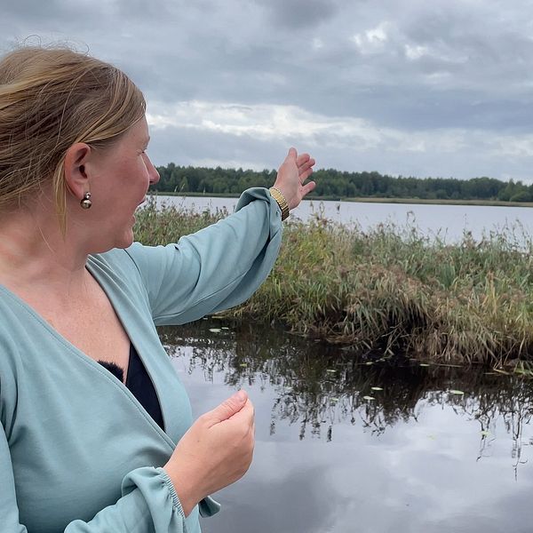 Skadechef Malin Brandin Bylund på Länsförsäkringar Värmland blickar ut över Mariebergsviken i Karlstad, ett område där båtar kan ha svämmats över av regnovädret Hans