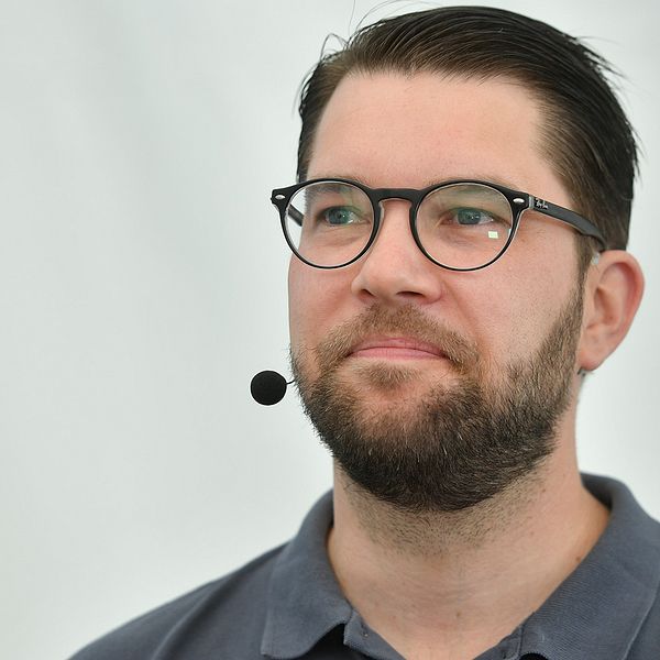 Jimmie Åkesson mot en grå bakgrund