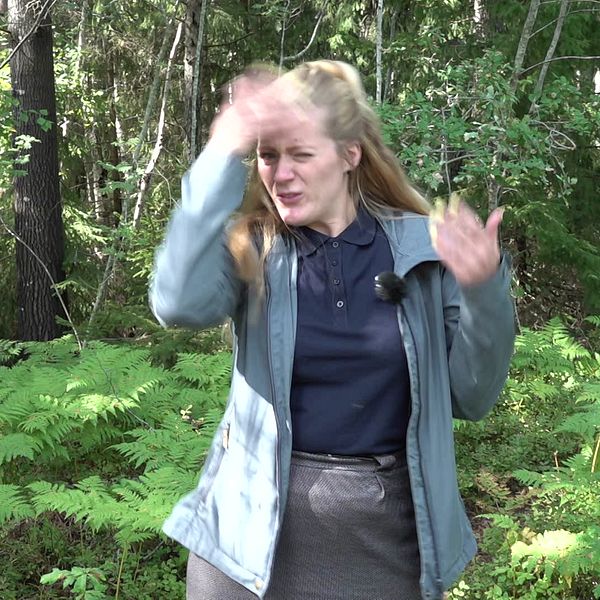 Reportern står i skogen och viftar med händerna framför ansiktet.