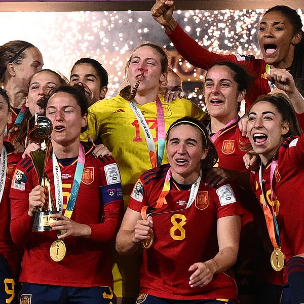 Spanien tog VM-guld, men därefter har spelarna gått ut i en landslagsbojkott.