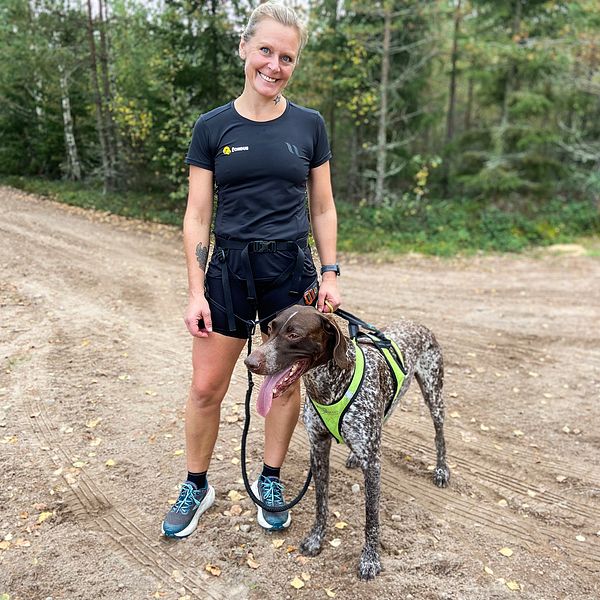 Rebecca Johansson sjuåriga vorstehnhunden Sune i koppel, de tränar inför SM i barmarksdrag.