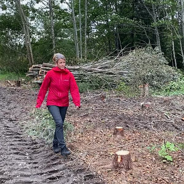 Susanna Hansen,  vattensamordnare på Västerås stad, vandrar vid den planerade våtmarken mellan Rönnby och Gryta.