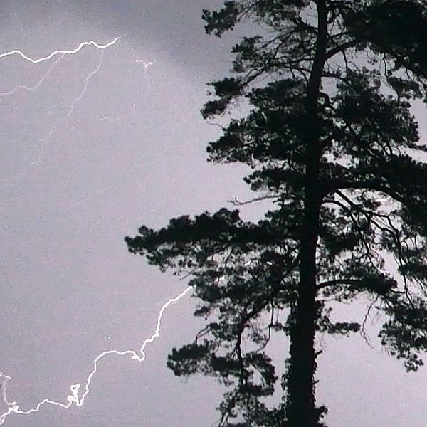 Åskoväder med blixtar som syns på himlen.