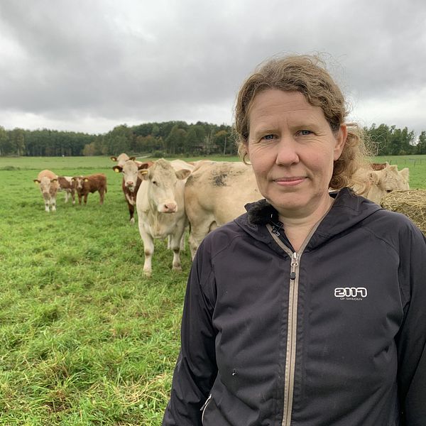 Ekolantbrukaren Marie Larsson står i svart jacka och ser in kameran framför några kor som går i bakgrunden och äter på en ensilagebal. Himlen är grå och gräset är grönt.