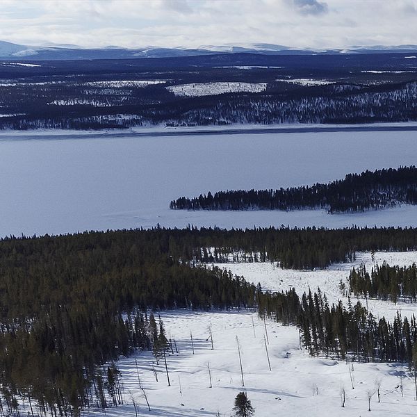 Området där guvan i Gallók/Kallak kan komma att ligga.