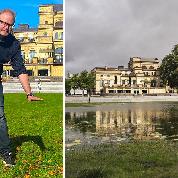 Klimatsamordnaren Mattias Alfredsson står på den nya gräsmattan i Teaterparken i Landskrona.