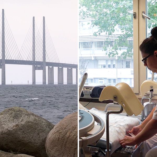 Roxana Leyton, barnmorska på Skånes universitetssjukhus hon är en kvinna med mörkt hår och glasögon i sjukhuskläder. Till vänster Öresundsbron.
