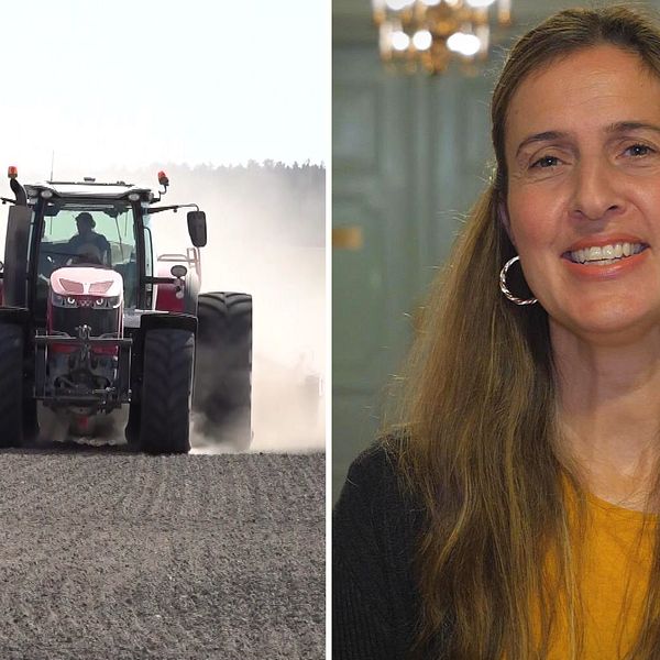 Tvådelad bild: En jordbrukare som arbetar i en traktor på ett fält och Sabina Hualpa Blomgren på Hushållningssällskapet.