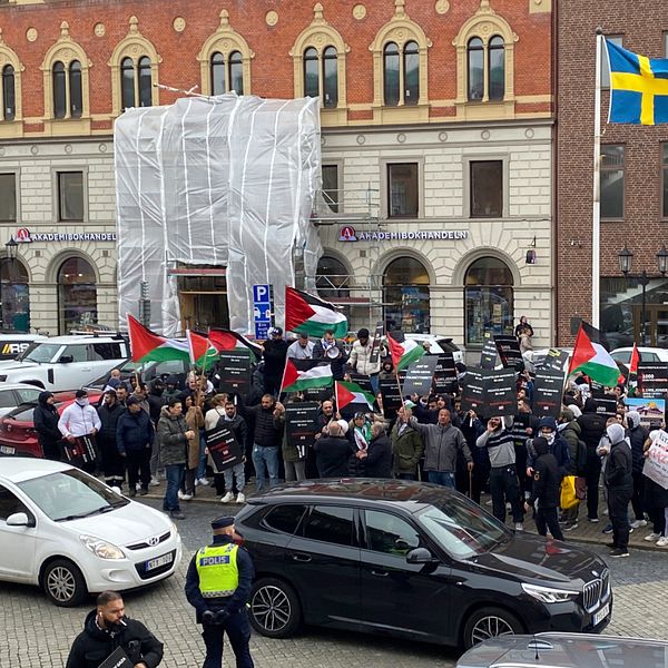 Ett hundratal demonstranter utanför Rådhuset i Helsingborg.