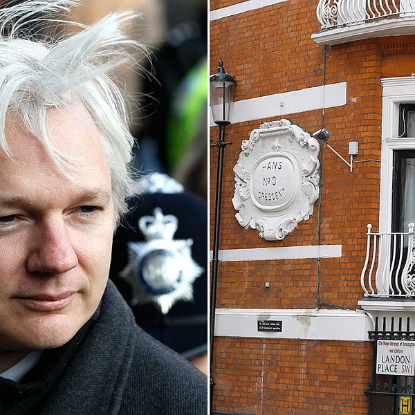 Julian Assange, Ecuadors ambassad i London