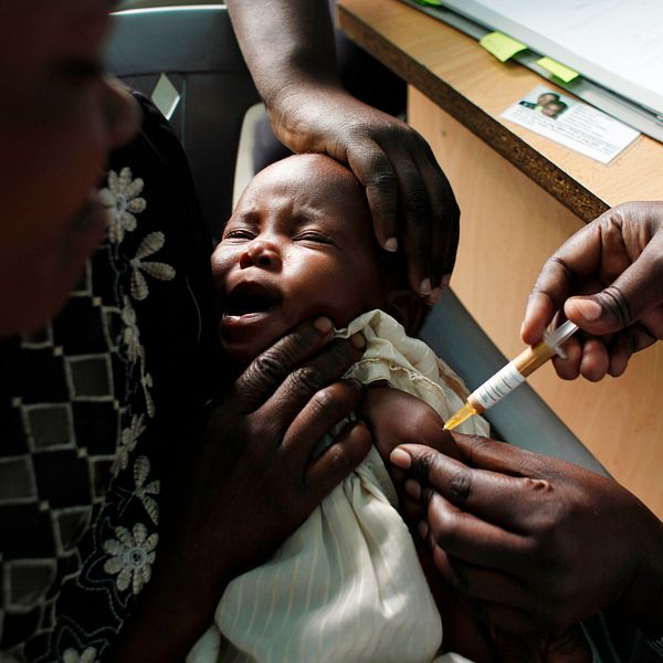 En kenyansk baby får en dos av malariavaccinet som snart väntas bli godkänt av världshälsoorganisationen WHO. Den europeiska läkemedelsmyndigheten gav sitt klartecken i juli.
Karel Prinsloo/AP/TT