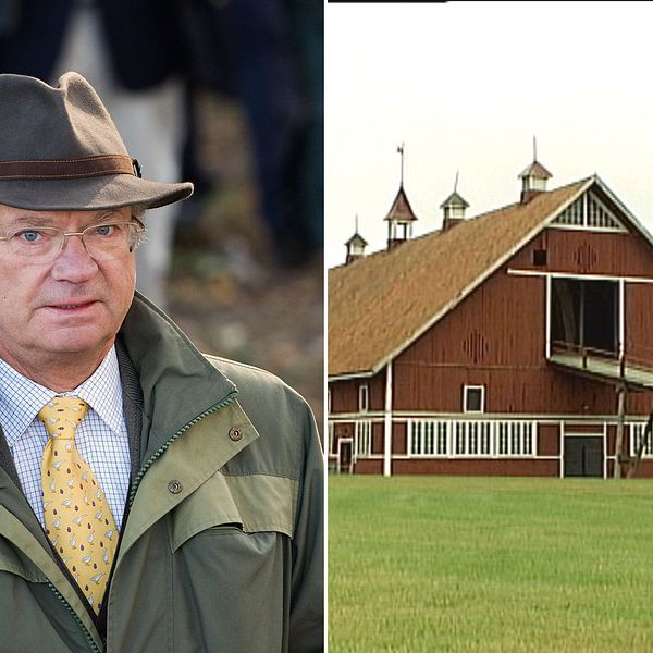 Kungen stenhammar gods