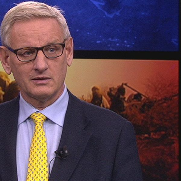Förre utrikesministern Carl Bildt (M)