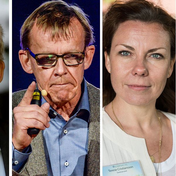 Johan Rockström, Hans Rosling, Terese Cristiansson och Lars Lerin ska vinterprata.