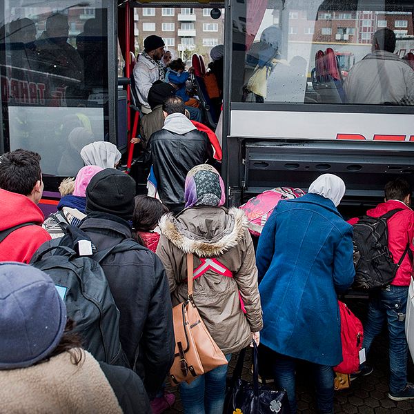 Under året har 300 personer per månad tagit tillbaka sin ansökan. I november låg siffran på 627.