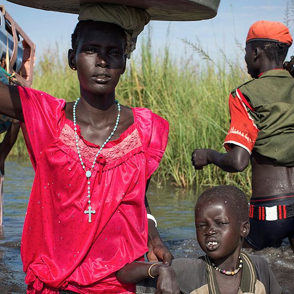 Människor tar sig genom översvämmade träskmarker i Sydsudan på jakt efter mediciner och mat.