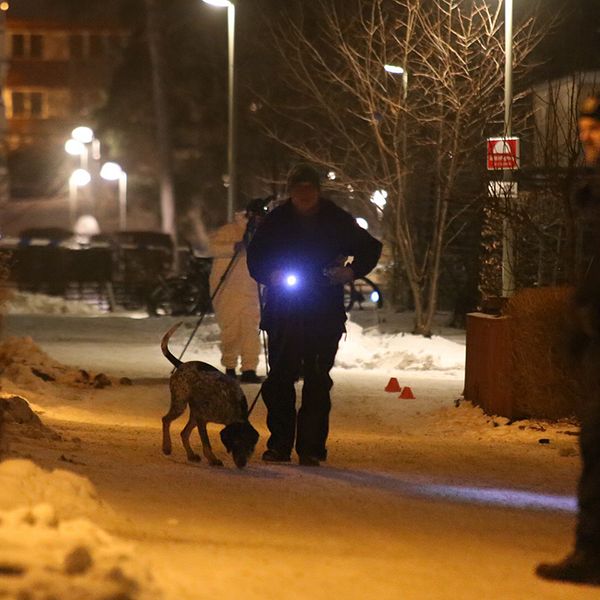 Polisens tekniker arbetar på platsen efter skottlossningen i Akalla centrum på tisdagskvällen.