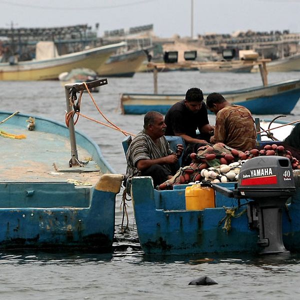 Palestinska fiskare vid hamnen i Gaza City i slutet av september.