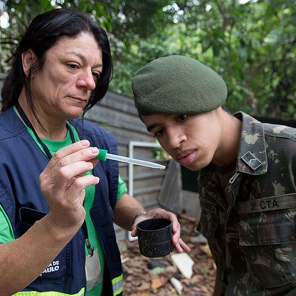 Brasilianska soldater får undervisning om myggsmittan Zikaviruset, som spridit sig snabbt i Brasilien och andra delar av Sydamerika.