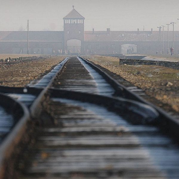 I dag är det 71 år sedan utrotningslägret Auschwitz-Birkenau befriades.