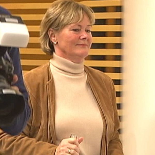 Anitra steen