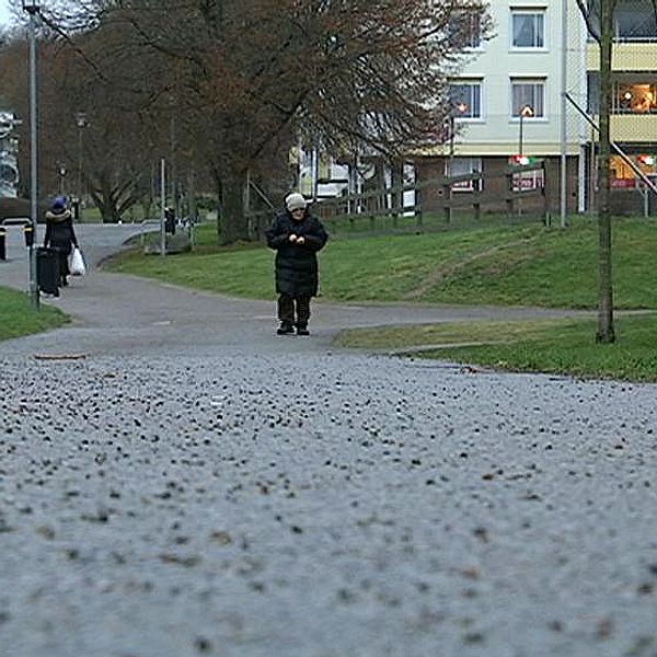 Araby ett särskilt utsatt område enligt polisen.