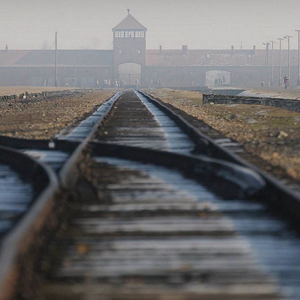 Tågspåret in till förintelselägret Auschwitz.