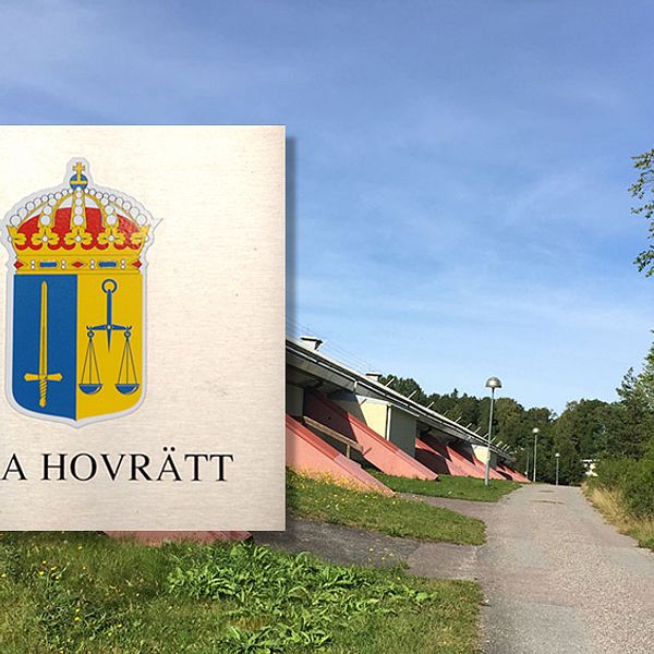 svea hgovrätt dubbelvåld