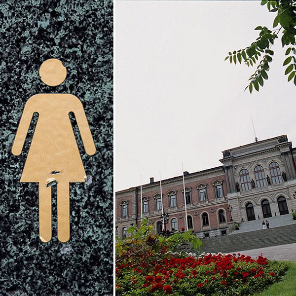 Ångströmlaboratoriet vid Uppsala universitet får en könsneutral toalett, skriver unt.se. Tanken är att alla, oavsett hur de definierar sin könstillhörighet, ska kunna använda sig av den.