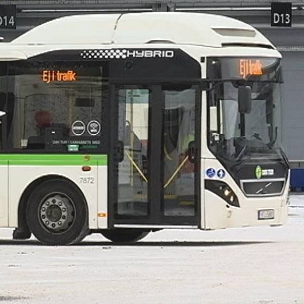 Hybridbuss