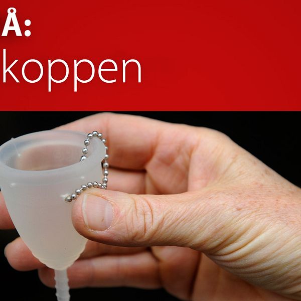 Koll på Menskoppen