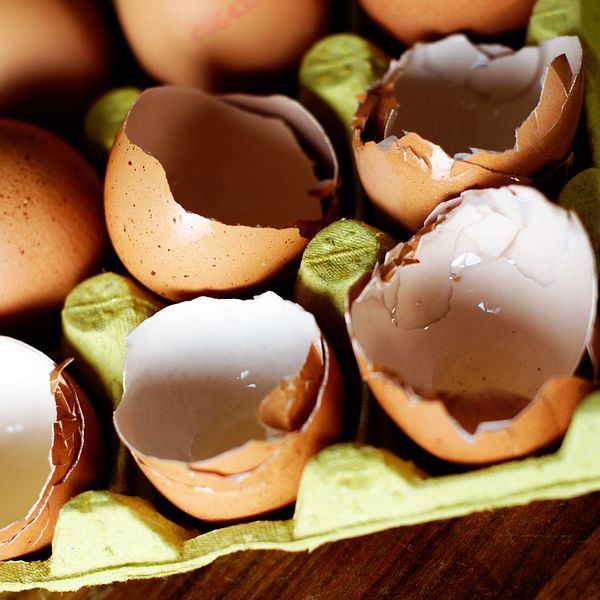 Äggskal av bruna ägg.