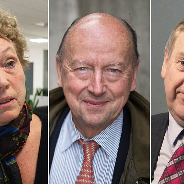 Skatteverkets överdirektör Helena Dyrrsen, den före detta toppdiplomaten Frank Belfrage och Skatteverkets generaldirektör Ingemar Hansson är före detta regeringskollegor.